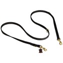 Practical Dog Lead for Labrador, Design Work