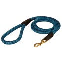 Unique Dog Lead Made of Nylon for Labrador in Beautiful Colors