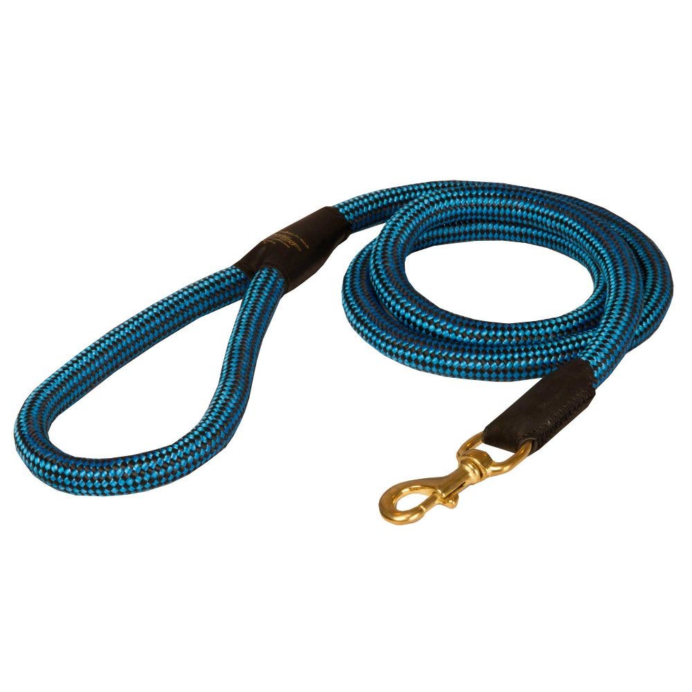 Hundeleine aus Nylon fr Labrador mit interessanter Farben-Kombination