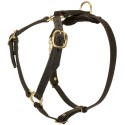Labrador Harness of Two-Ply Leather for Walking and Tracking
