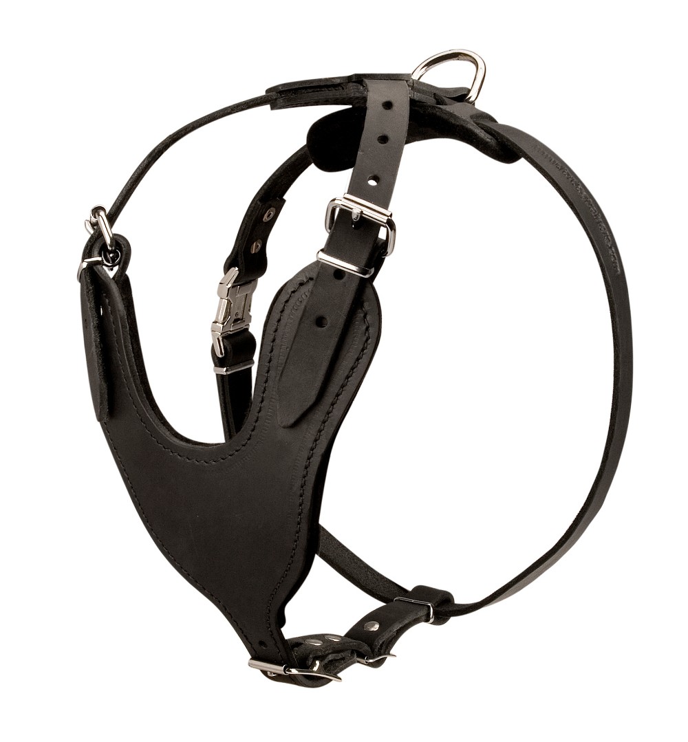 Hundegeschirr & Halsband-Set Aus Leder – Mit Nieten, 3-teilig | Für Große Rassen Wie Pitbull, Mastiff, Boxer | Größe M, Farbe Weiß