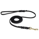 Exclusive Leather Dog Lead for Labrador with Braided Design