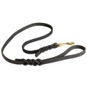 Narrow Dog Lead for labrador with Designer Braid