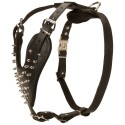 Labrador Walking Harness with Sparkling Spikes