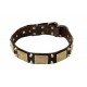 Leather Dog Collar with Brass Plates and Nickel Cones
