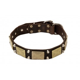 Leather Dog Collar with Brass Plates and Nickel Cones