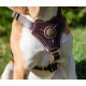 Luxury Puppy and Small Dogs Harness with Nappa Padding