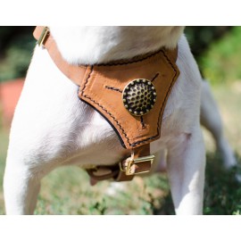 Luxury Puppy and Small Dogs Harness with Nappa Padding