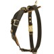 Luxury Puppy and Small Dogs Harness with Nappa Padding