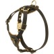 Luxury Puppy and Small Dogs Harness with Nappa Padding