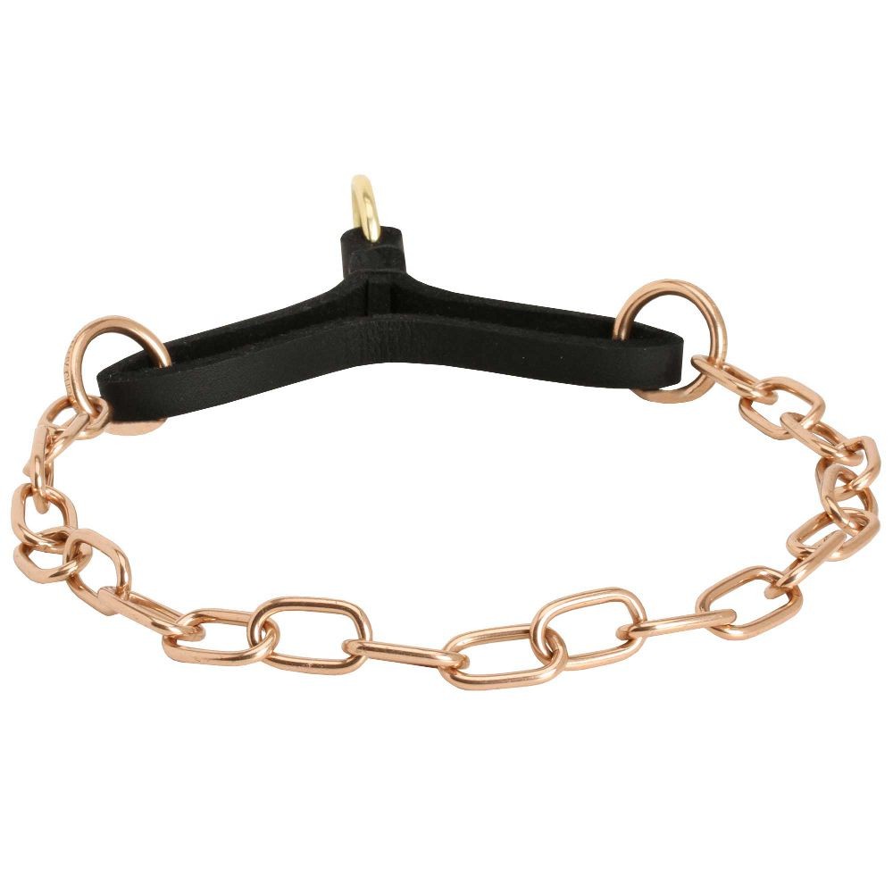 Bestseller Kette Halsband fr Labrador, Martingale Design fr Hunde Dressur  - hundeshop-labrador.de