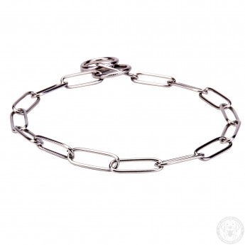 Kette Halsband aus rostbeständigem Stahl für Labrador Erziehung