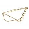 Metall Halsband für Labrador-Ausstellungen, goldfarbiger Messing