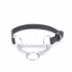 Kombiniertes Halsband aus Nylon mit Stahl-Kette für Labrador
