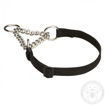 Kombiniertes Halsband aus Nylon mit Stahl-Kette für Labrador