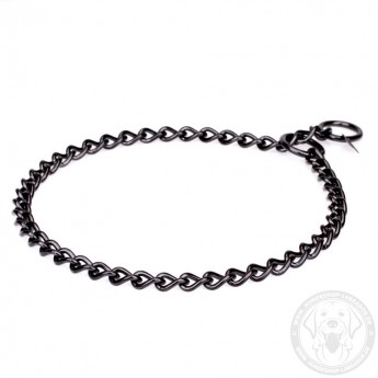 Schwarzes Edelstahl Kette Halsband für Labrador Gehorsam-Training