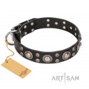 Leather Dog Collar with Silver Adornment  "Vintage Necklace" FDT Artisan 