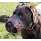 Maulkorb Leder für Labrador mit Feuer Bemalung handgefertigt