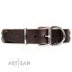 Brown Artisan Leather Dog Collar "Strong Shields"