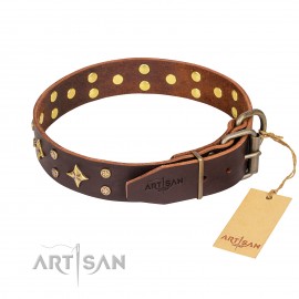 Leather Dog Collar FDT Artisan "High Fashion"  Brown
