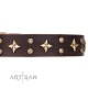 Leather Dog Collar FDT Artisan "High Fashion"  Brown
