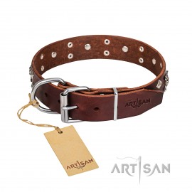 Rock 'n' Roll Style Leather Dog Collar  FDT Artisan