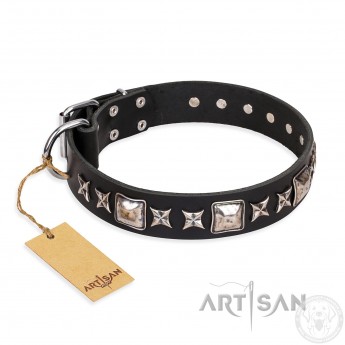 Leather Dog Collar with Adornment "Space Walk" FDT Artisan 