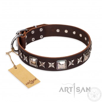 Brown Leather Dog Collar with Silvery Studs "Perfect Impression"