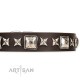 Brown Leather Dog Collar with Silvery Studs "Perfect Impression"