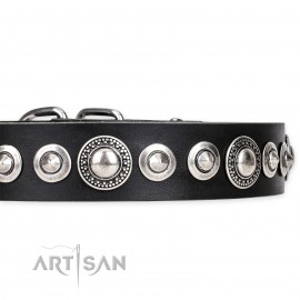 Exclusive FDT Artisan Leather Dog Collar "Strict Elegance"