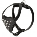 Labrador Puppy Harness Decorated with Shining Spikes
