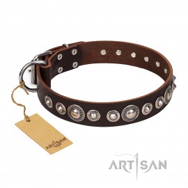 Brown attractive Leather Dog Collar "Step and Sparkle" FDT Artisan