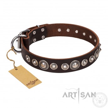 Brown attractive Leather Dog Collar "Step and Sparkle" FDT Artisan