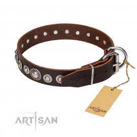 Brown attractive Leather Dog Collar "Step and Sparkle" FDT Artisan