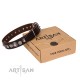 Brown attractive Leather Dog Collar "Step and Sparkle" FDT Artisan