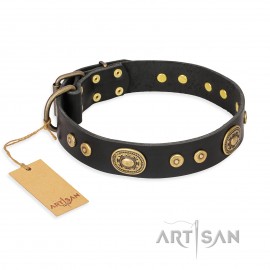 Chic Labrador Leather Dog Collar "Golden Radiance" FDT Artisan