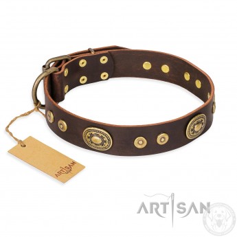 Dark-Brown Leather Dog Collar "One-of-a-Kind" FDT Artisan