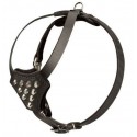 Labrador Puppy Harness with Studded Chest Plate