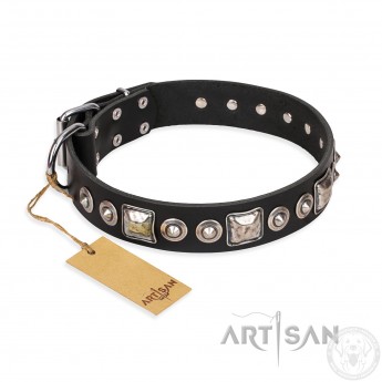 Exclusive "Eternal Beauty and Style" Black Leather Dog Collar  FDT Artisan