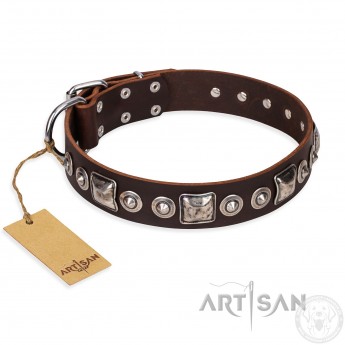 FDT Artisan fashionable Leather Dog Collar "Pierian Spring" for Labrador
