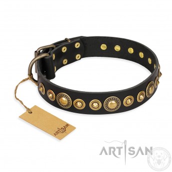 Amazing Leather Dog Collar Black "Gold Mine" FDT Artisan