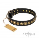 Amazing Leather Dog Collar Black "Gold Mine" FDT Artisan