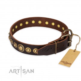 Brown FDT Artisan Leather Dog Collar"Ancient Warrior" for Labrador