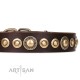 Brown FDT Artisan Leather Dog Collar"Ancient Warrior" for Labrador