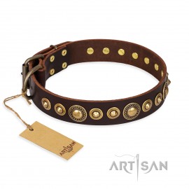 Braunes FDT Artisan Lederhalsband "Ancient Warrior" für Labrador