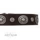 Decorated Leather Dog Collar  in brown " Extra Pizzazz" FDT Artisan for Labrador