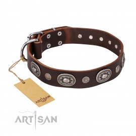 Dekoriertes Lederhalsband in braun" Extra Pizzazz" FDT Artisan für Labrador