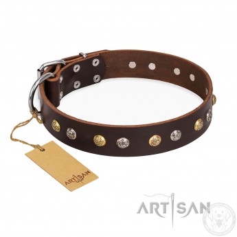 Magnificent Dog Collar made of brown Leather "Rare Flower" FDT Artisan