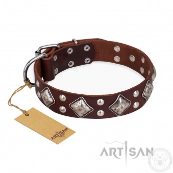 Stylish Leather Dog Collar Brown " King of Grace" by FDT Artisan for Labrador