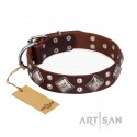 Stylish Leather Dog Collar Brown " King of Grace" by FDT Artisan for Labrador